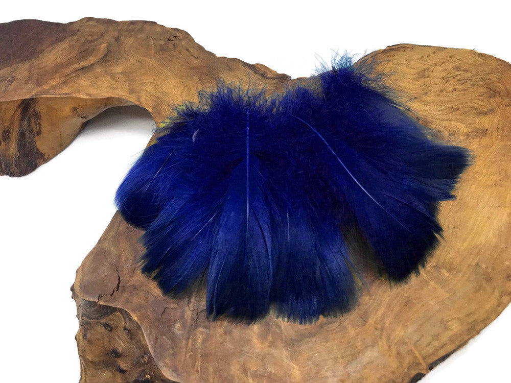 1/4 Lb - 2-3" Royal Blue Goose Coquille Loose Wholesale Feathers (Bulk)