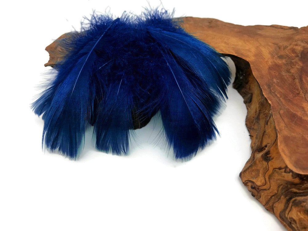 1/4 Lb - 2-3" Royal Blue Goose Coquille Loose Wholesale Feathers (Bulk)