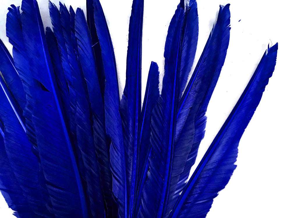 1/4 Lb. - Royal Blue Goose Pointers Long Primaries Wing Wholesale Feathers (Bulk)