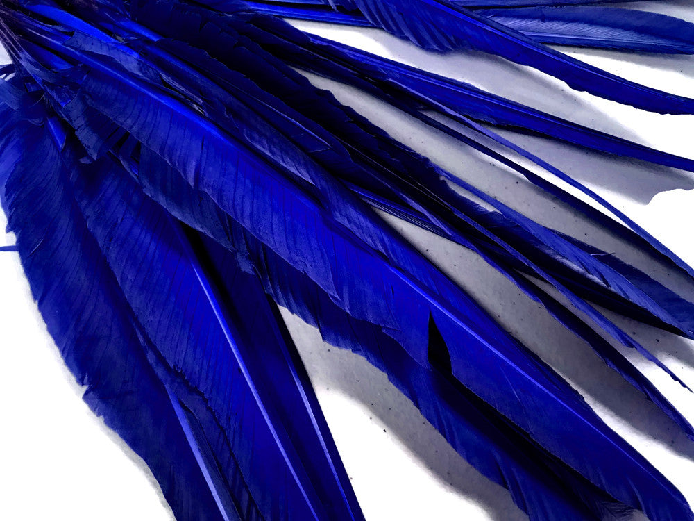 1/4 Lb. - Royal Blue Goose Pointers Long Primaries Wing Wholesale Feathers (Bulk)