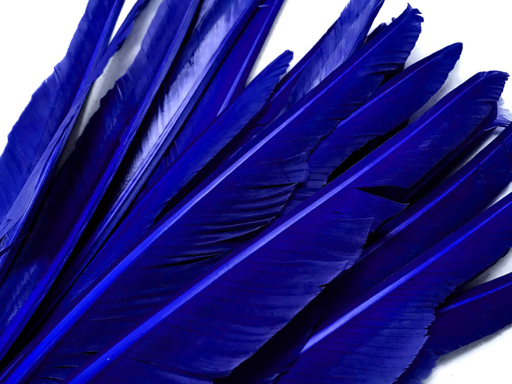 10 Pieces - Royal Blue Goose Pointers Long Primaries Wing Feathers