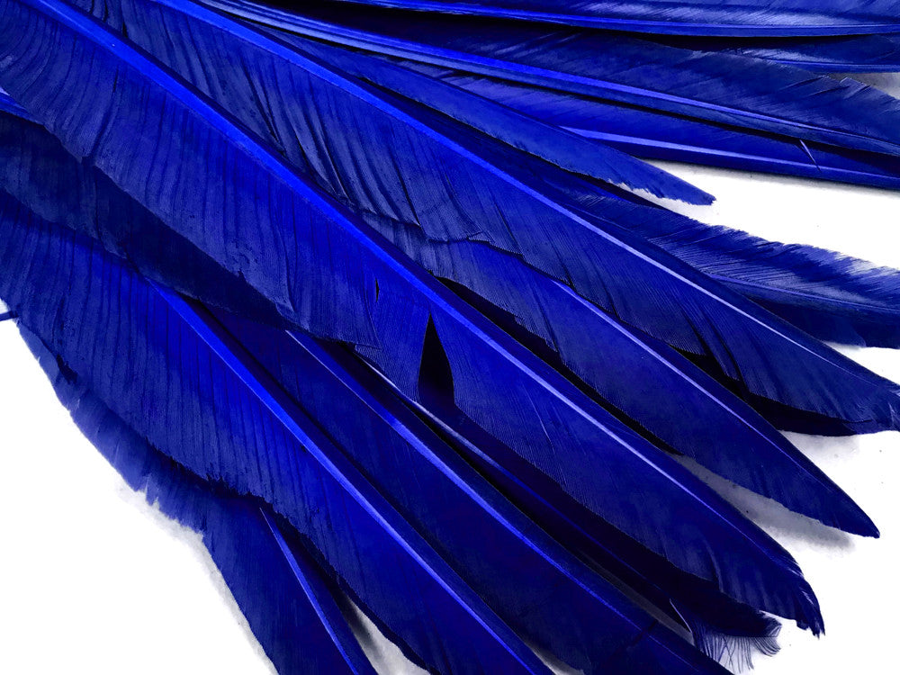 1/4 Lb. - Royal Blue Goose Pointers Long Primaries Wing Wholesale Feathers (Bulk)