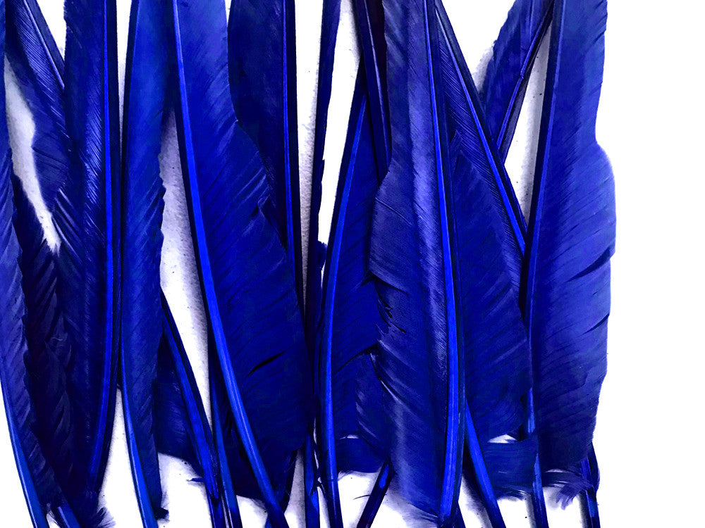 1/4 Lb. - Royal Blue Goose Pointers Long Primaries Wing Wholesale Feathers (Bulk)