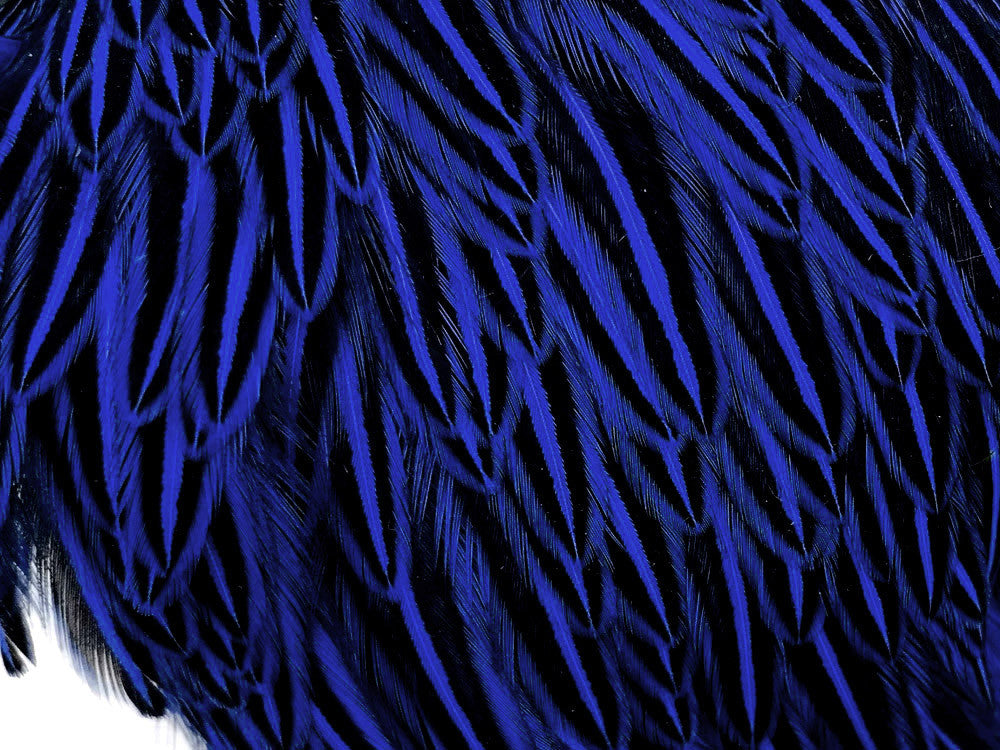 10 Pieces - Royal Blue Jungle Cock Loose Plumage Feather