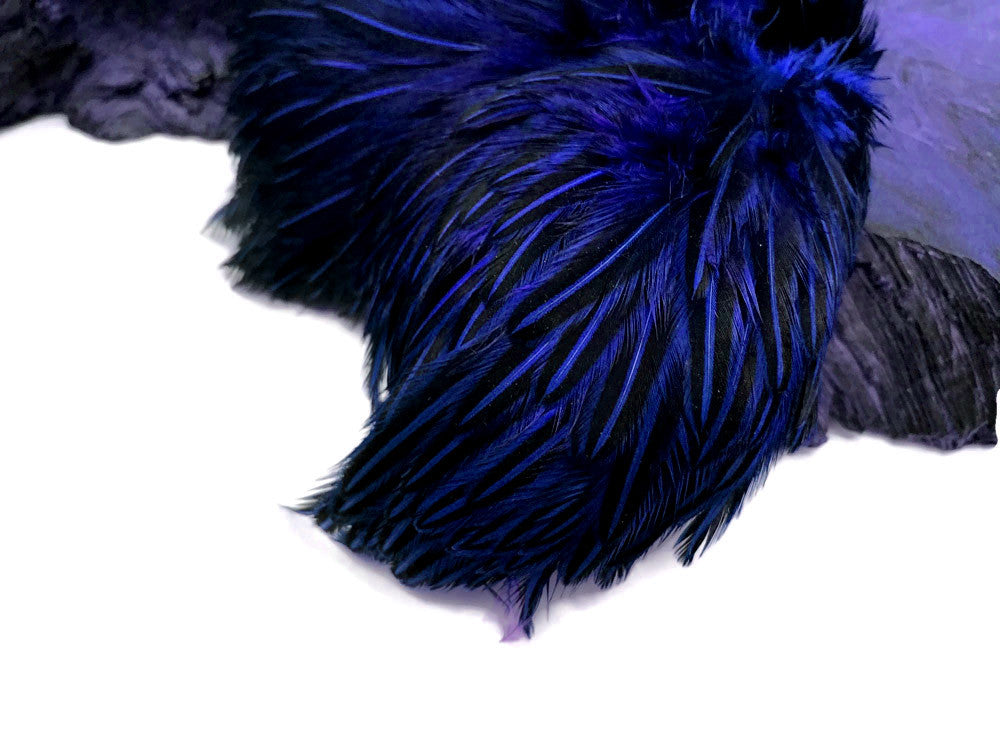 10 Pieces - Royal Blue Jungle Cock Loose Plumage Feather