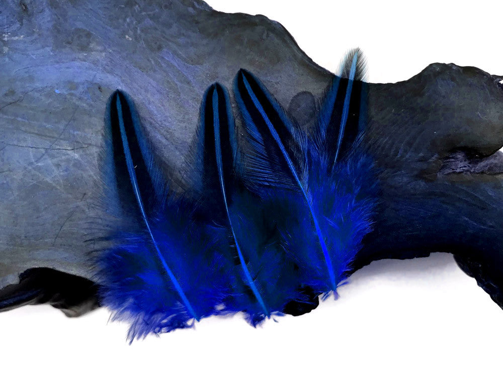 10 Pieces - Royal Blue Jungle Cock Loose Plumage Feather