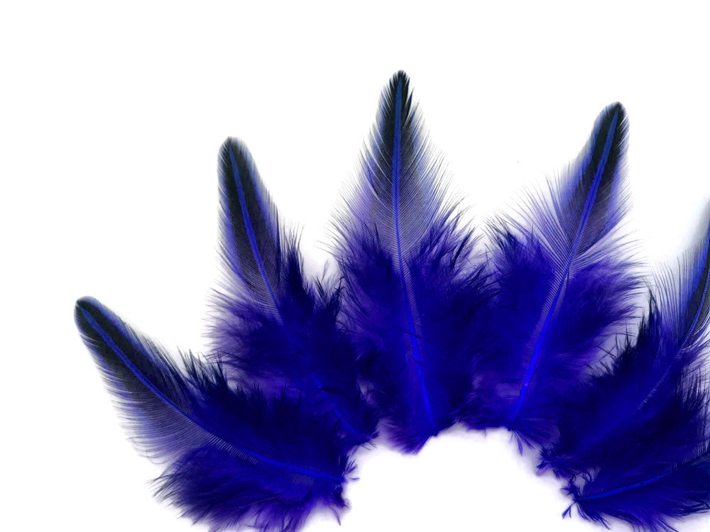 10 Pieces - Royal Blue Jungle Cock Loose Plumage Feather