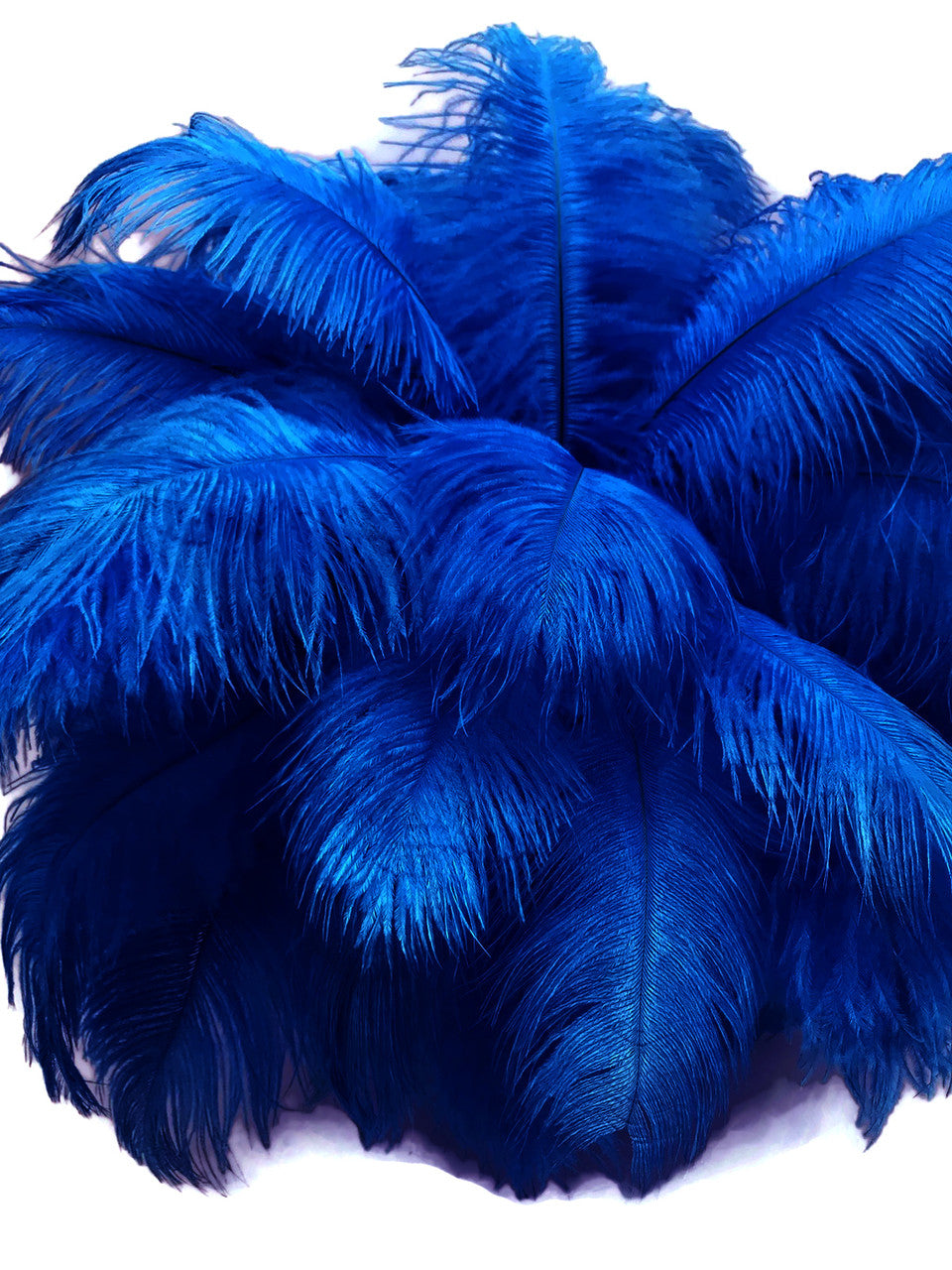 10 Pieces - 14-17" Royal Blue Ostrich Dyed Drab Body Feathers