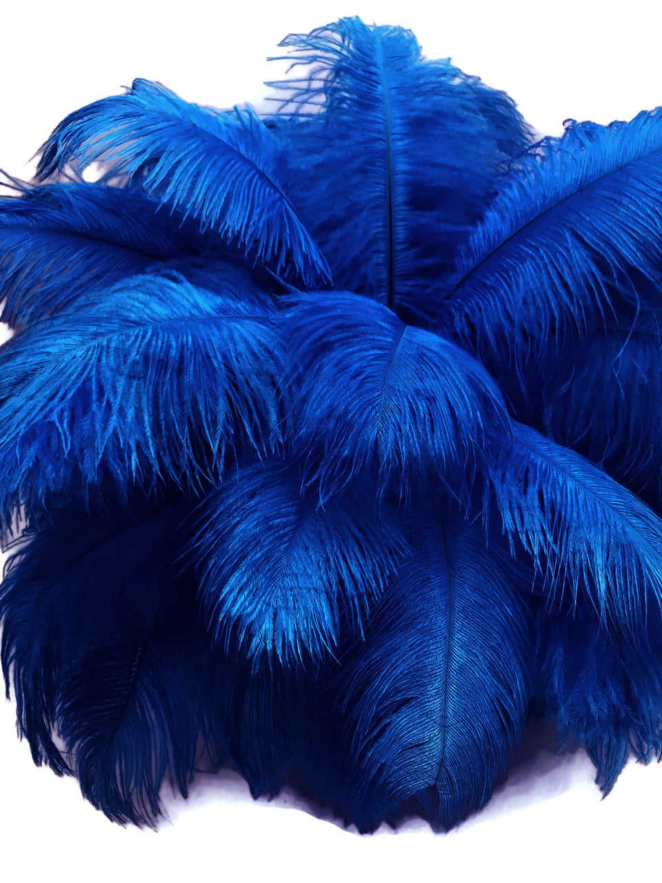 Store Royal blue / bright blue fluffy beret with ostrich feathers