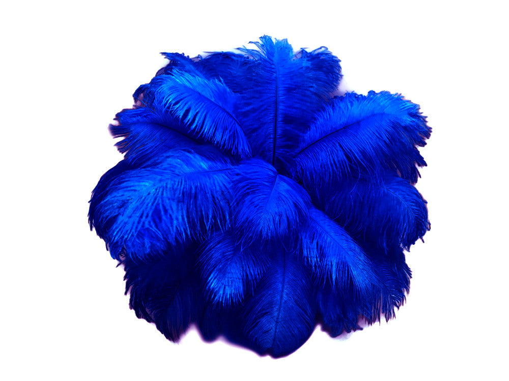 10 Pieces - 8-10" Royal Blue Ostrich Dyed Drabs Feathers