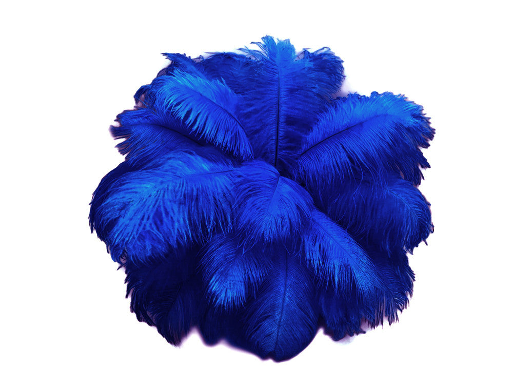 10 Pieces - 17-19" Royal Blue Large Bleached & Dyed Ostrich Drabs Body Feathers