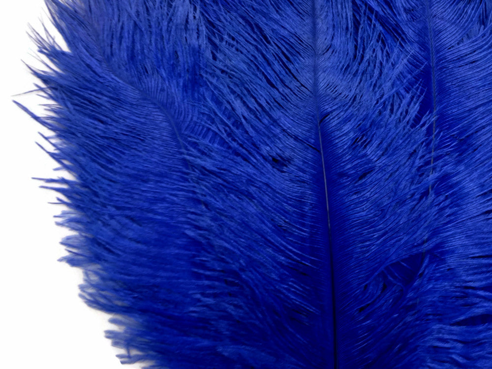 10 Pieces - 17-19" Royal Blue Large Bleached & Dyed Ostrich Drabs Body Feathers