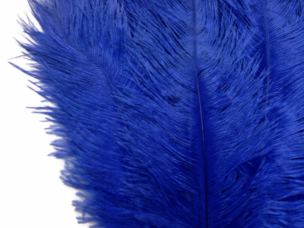 10 Pieces - 8-10" Royal Blue Ostrich Dyed Drabs Feathers