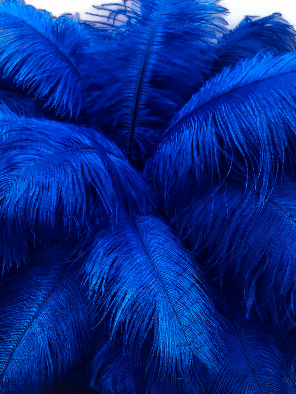 10 Pieces - 6-8" Royal Blue Ostrich Dyed Drabs Feathers