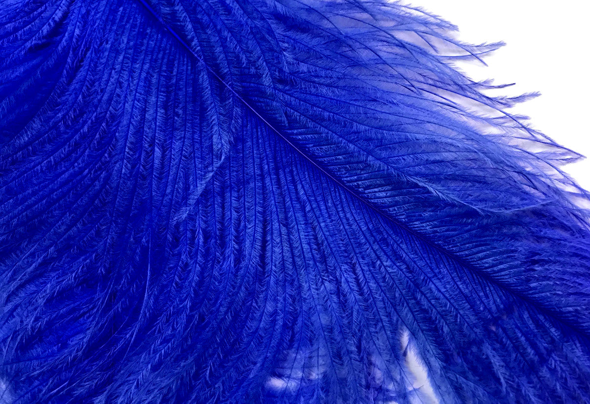 10 Pieces - 18-24" Royal Blue Large Prime Grade Ostrich Wing Plume Centerpiece Feathers