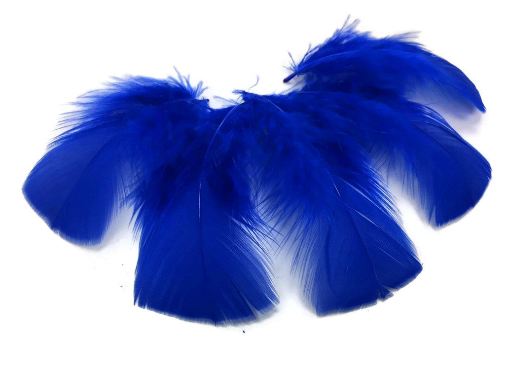 1 Pack - Royal Blue Dyed Turkey T-Base triangle Body Plumage Feathers 0.50 Oz.