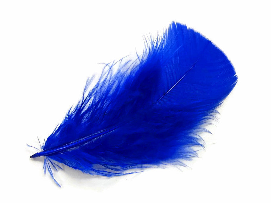 1 Pack - Royal Blue Dyed Turkey T-Base triangle Body Plumage Feathers 0.50 Oz.