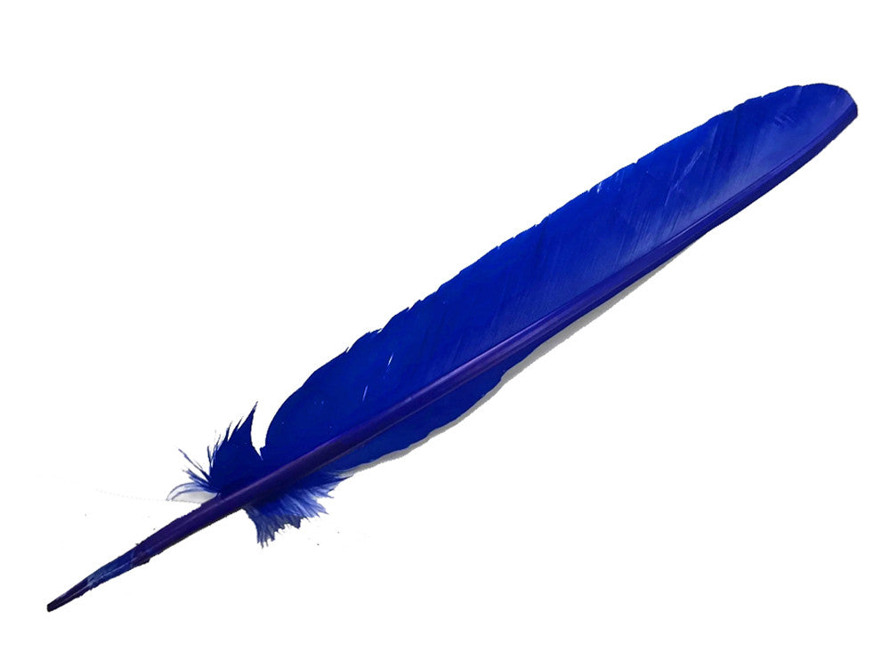 6 Pieces - Royal Blue Turkey Pointers Primary Wing Quill Large Feathers