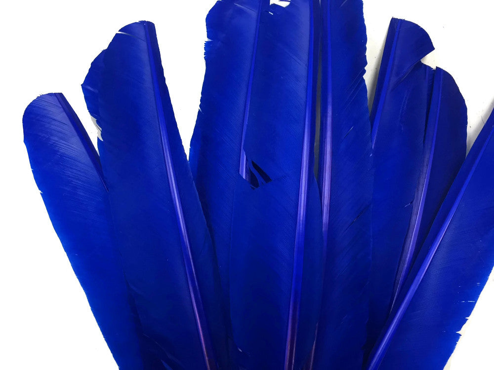 6 Pieces - Royal Blue Turkey Pointers Primary Wing Quill Large Feathers