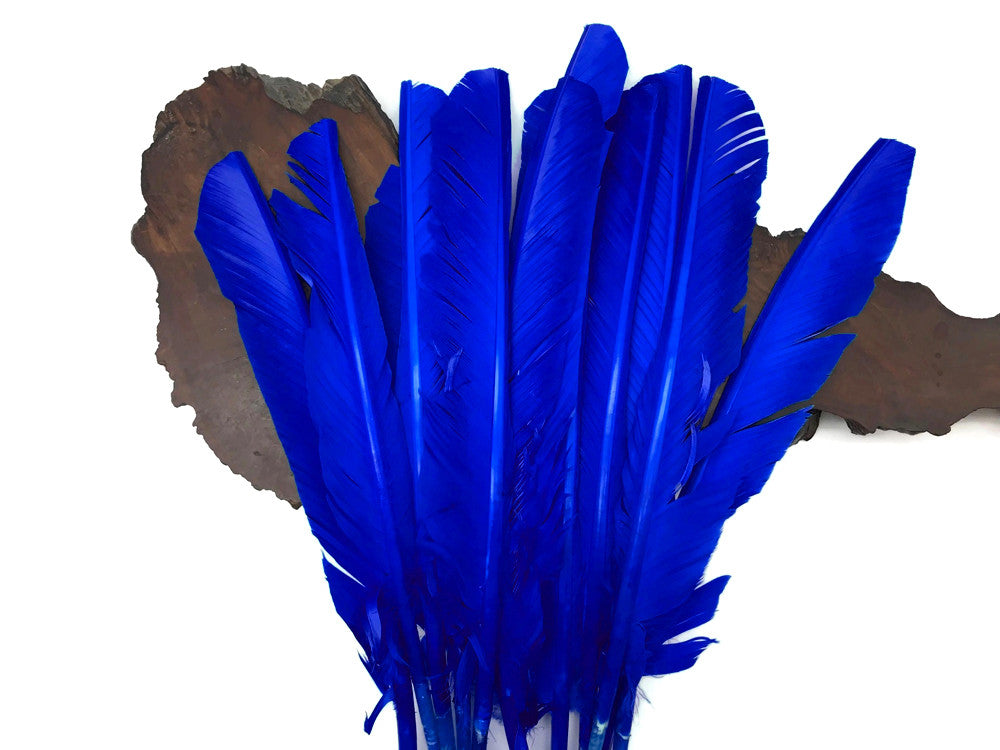 6 Pieces - Royal Blue Turkey Pointers Primary Wing Quill Large Feathers