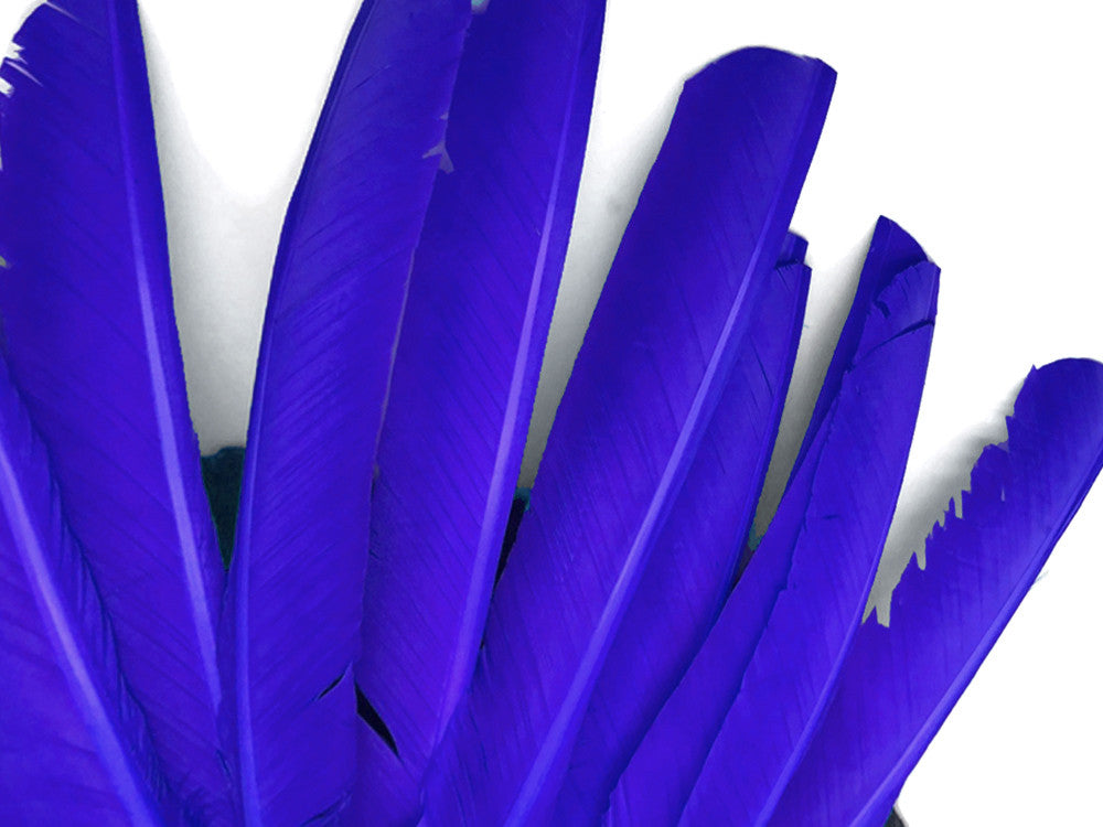 1/4 Lb - Royal Blue Turkey Pointers Primary Wing Quill Large Wholesale Feathers (Bulk)