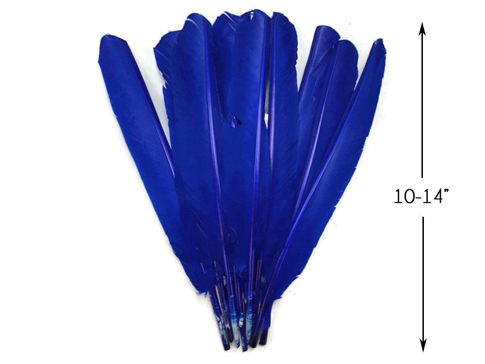 6 Pieces - Royal Blue Turkey Pointers Primary Wing Quill Large Feathers