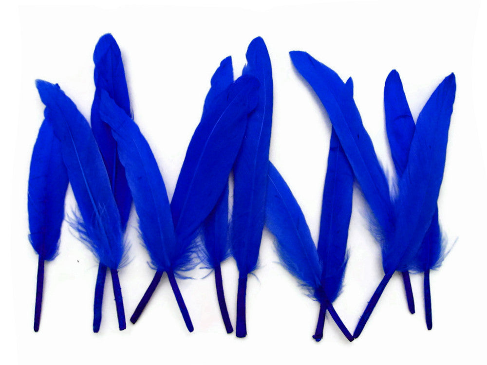 1 Pack - Royal Blue Dyed Duck Cochettes Loose Wing Quill Feather 0.30 Oz.