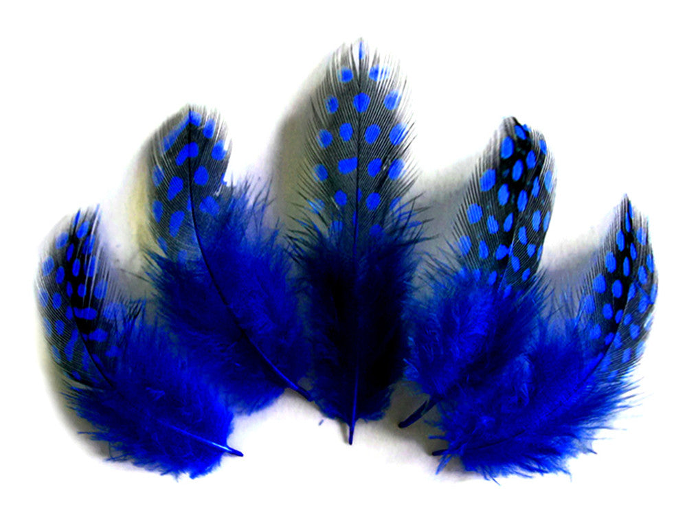 1/4 Lb - Royal Blue Guinea Hen Plumage Polka Dot Feathers Wholesale (Bulk)