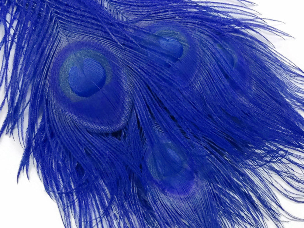 5 Pieces – Royal Blue Bleached & Dyed Peacock Tail Eye Feathers 10-12” Long 