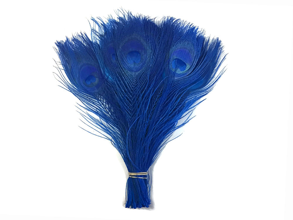 5 Pieces – Royal Blue Bleached & Dyed Peacock Tail Eye Feathers 10-12” Long 