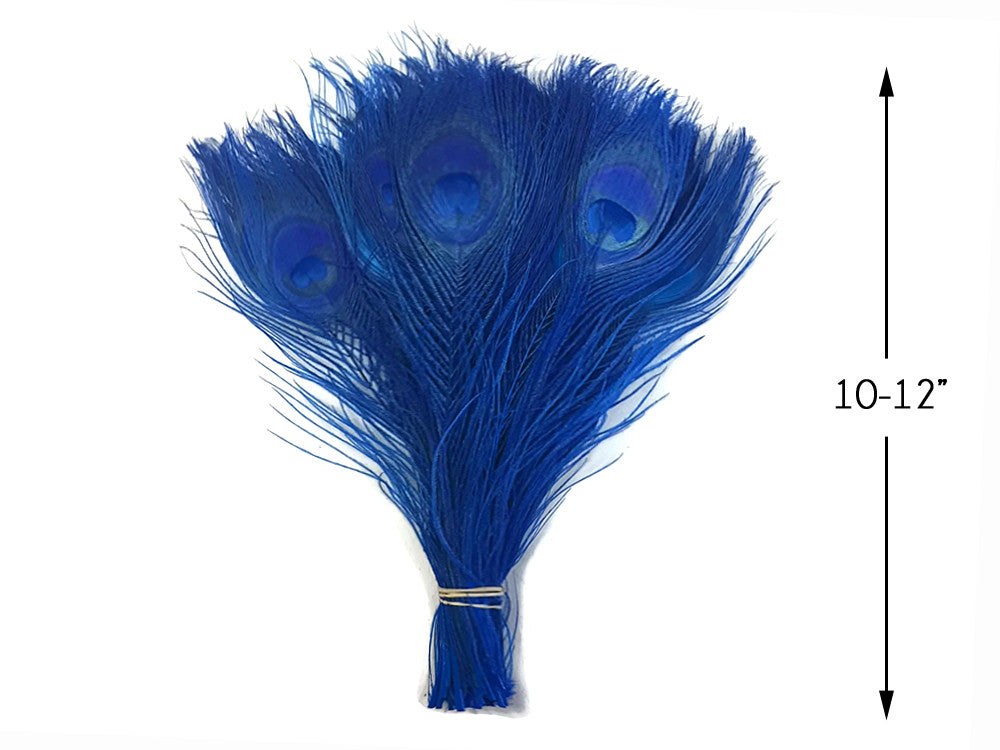 5 Pieces – Royal Blue Bleached & Dyed Peacock Tail Eye Feathers 10-12” Long 