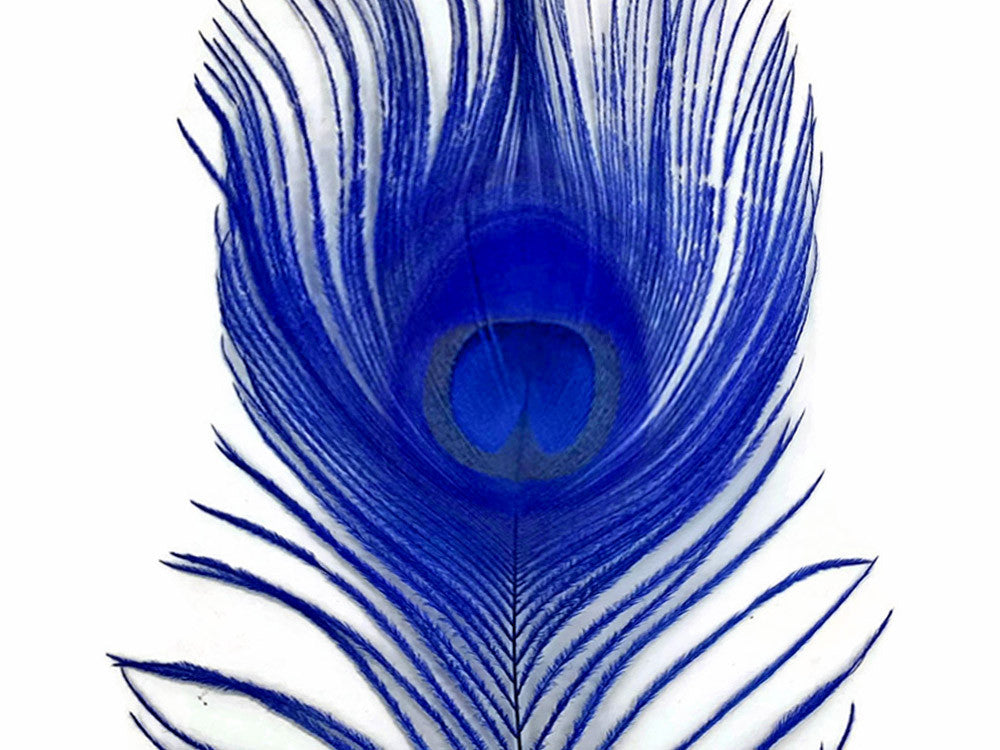 5 Pieces – Royal Blue Bleached & Dyed Peacock Tail Eye Feathers 10-12” Long 