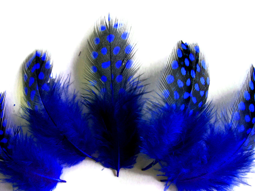 1/4 Lb - Royal Blue Guinea Hen Plumage Polka Dot Feathers Wholesale (Bulk)