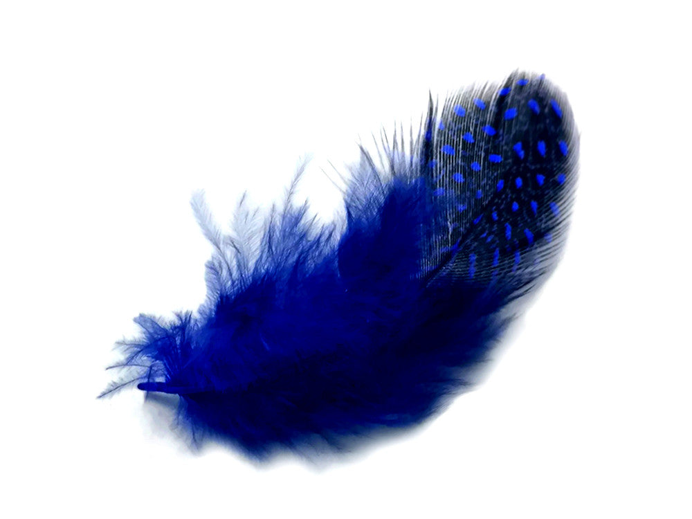 1 Pack - Royal Blue Guinea Hen Polka Dot Plumage Feathers 0.10 Oz.