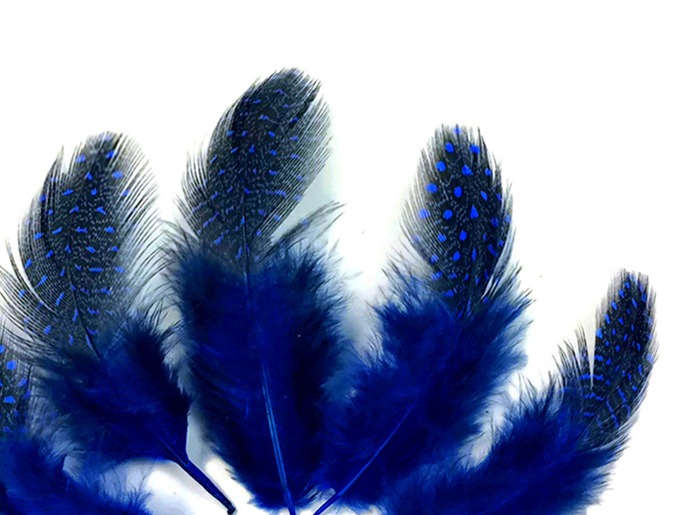 1/4 Lb - Royal Blue Guinea Hen Plumage Polka Dot Feathers Wholesale (Bulk)