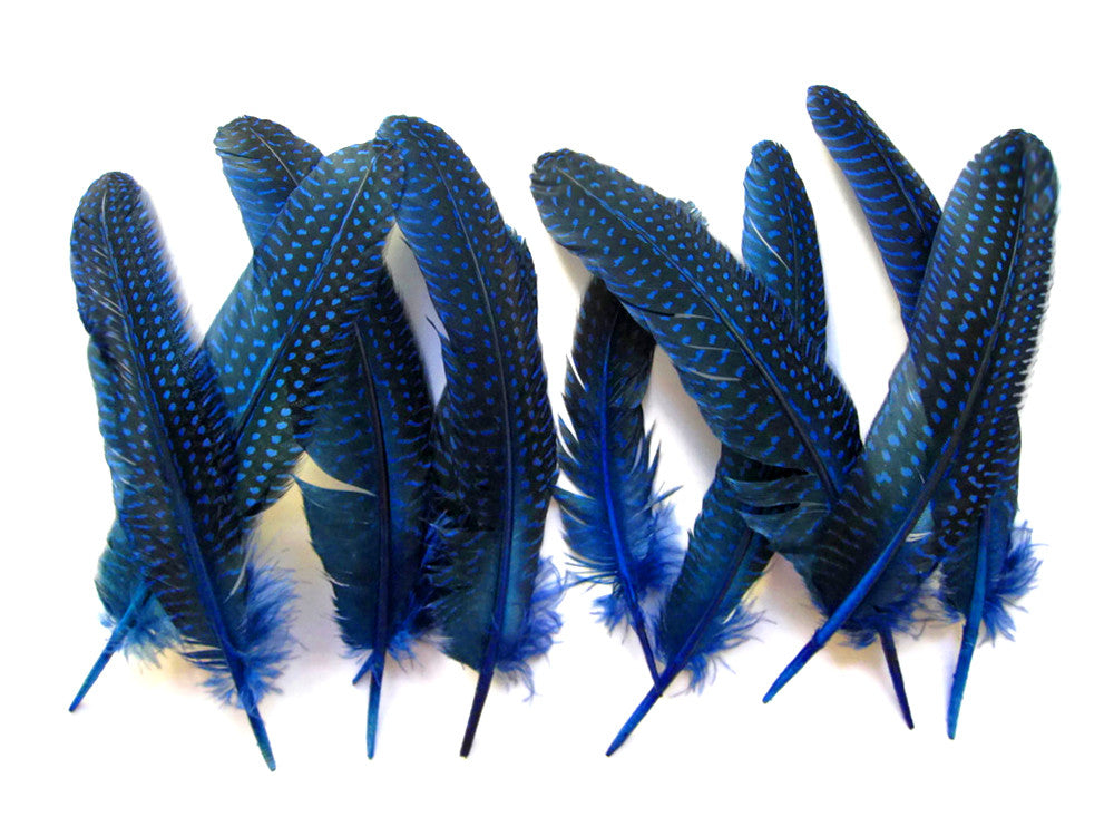 1/8 lb. Royal Blue Polka Dot Guinea Fowl Wing Quills Wholesale Feathers (Bulk)