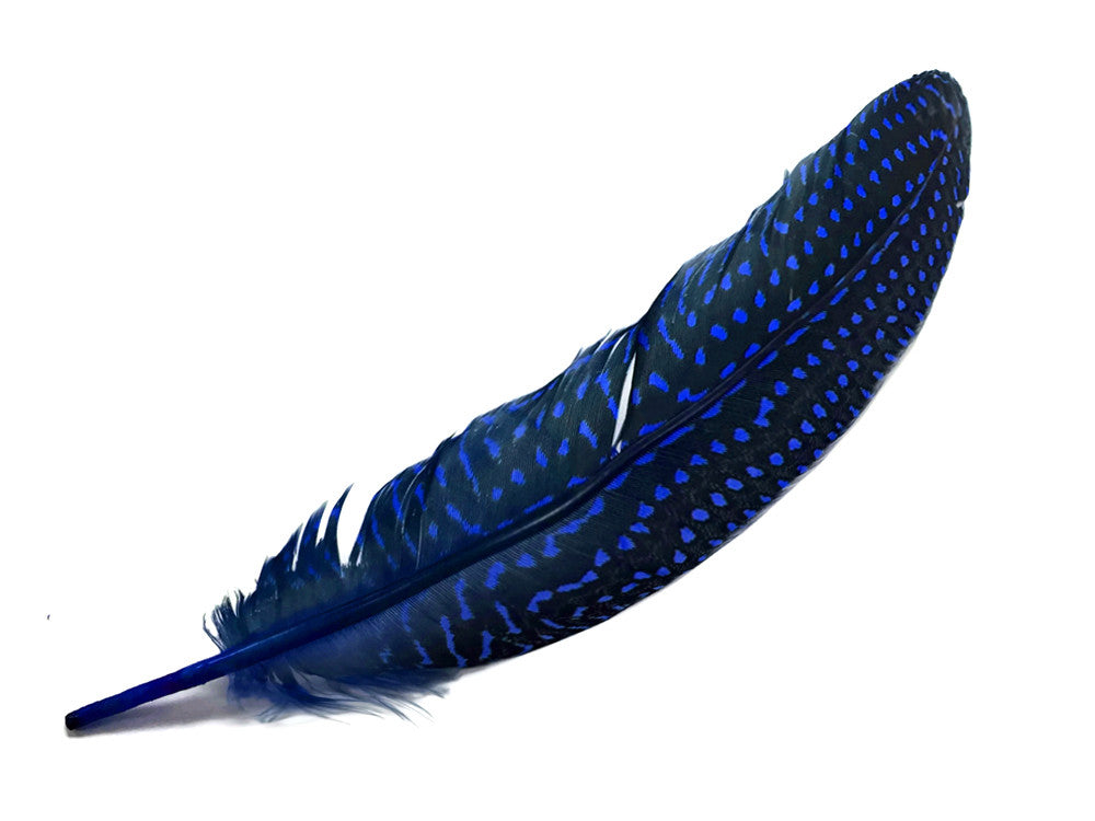 10 Pieces - Dyed Royal Blue Polka Dot Guinea Fowl Wing Quill Feathers