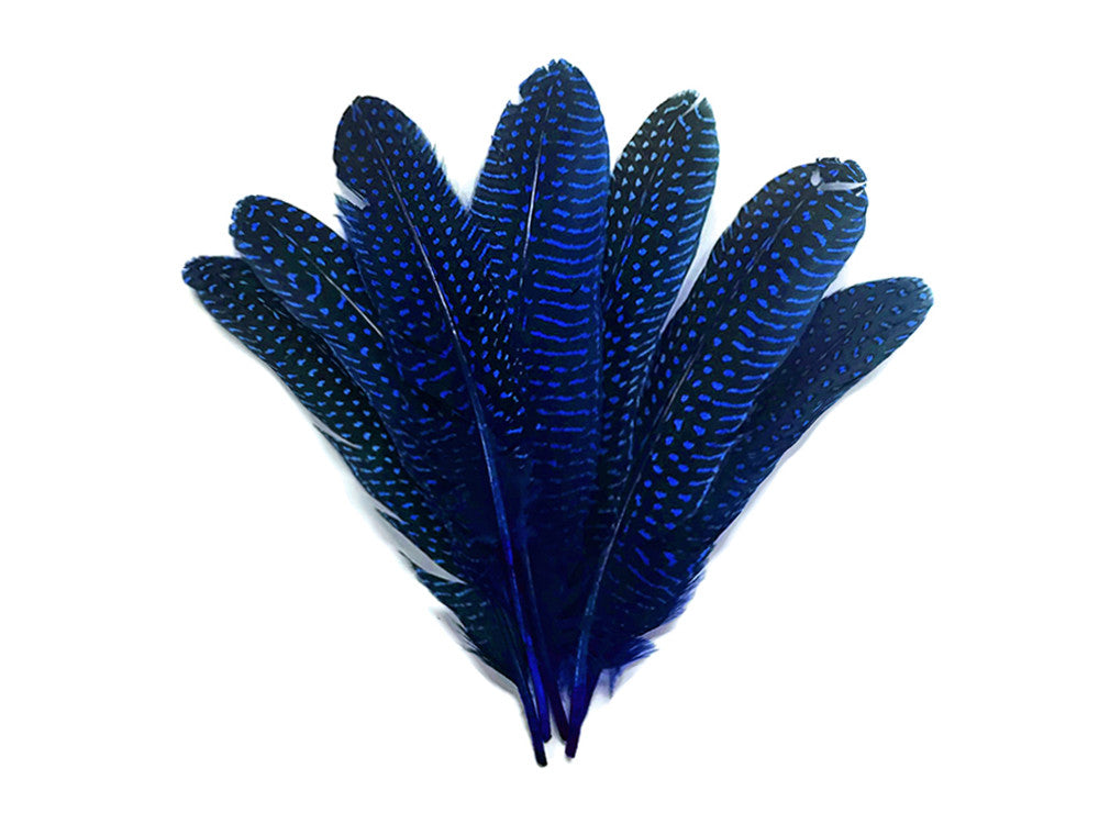 1/8 lb. Royal Blue Polka Dot Guinea Fowl Wing Quills Wholesale Feathers (Bulk)