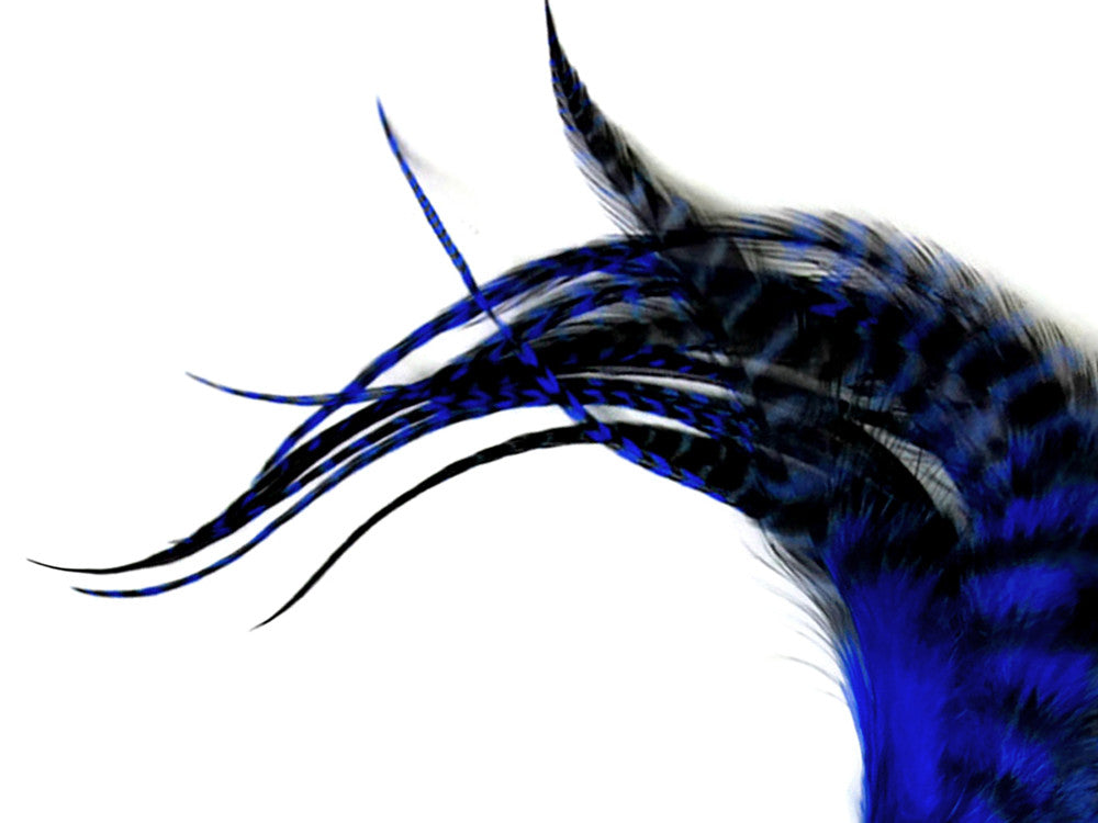 1 Dozen - Medium Royal Blue Grizzly Rooster Saddle Whiting Hair Extension Feathers