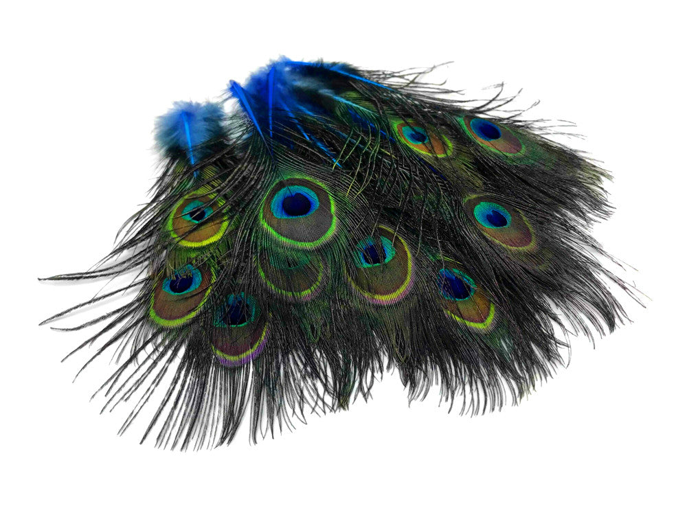 50 Pieces - Royal Blue Mini Natural Peacock Tail Body With Eyes Wholesale Feathers (Bulk)