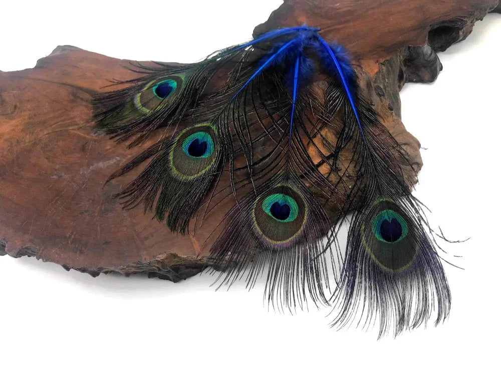 Vibrant peacock feathers with bright blue accents resting on a rustic natural wood piece.
