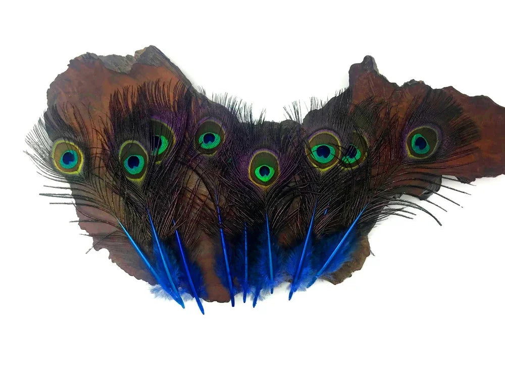 Vibrant peacock feathers and bright blue feathers arranged on a natural wood slice.