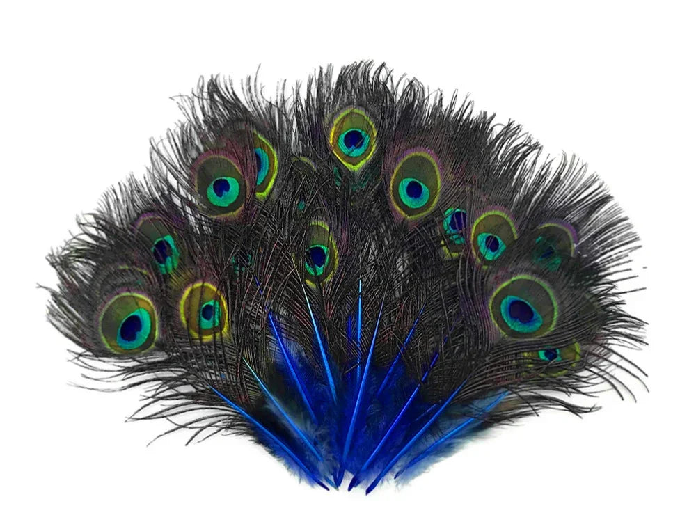 Vibrant peacock feathers with blue accents for DIY crafts and fashion decor.