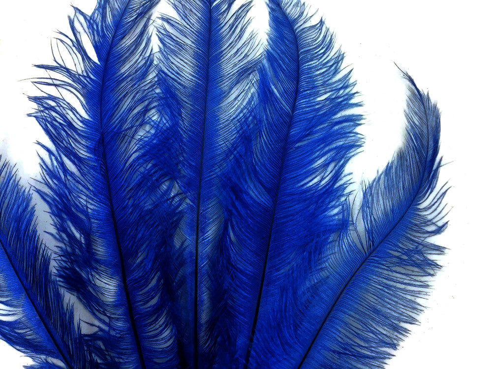 20 Pieces - Royal Blue Mini Spads Ostrich Chick Body Feathers