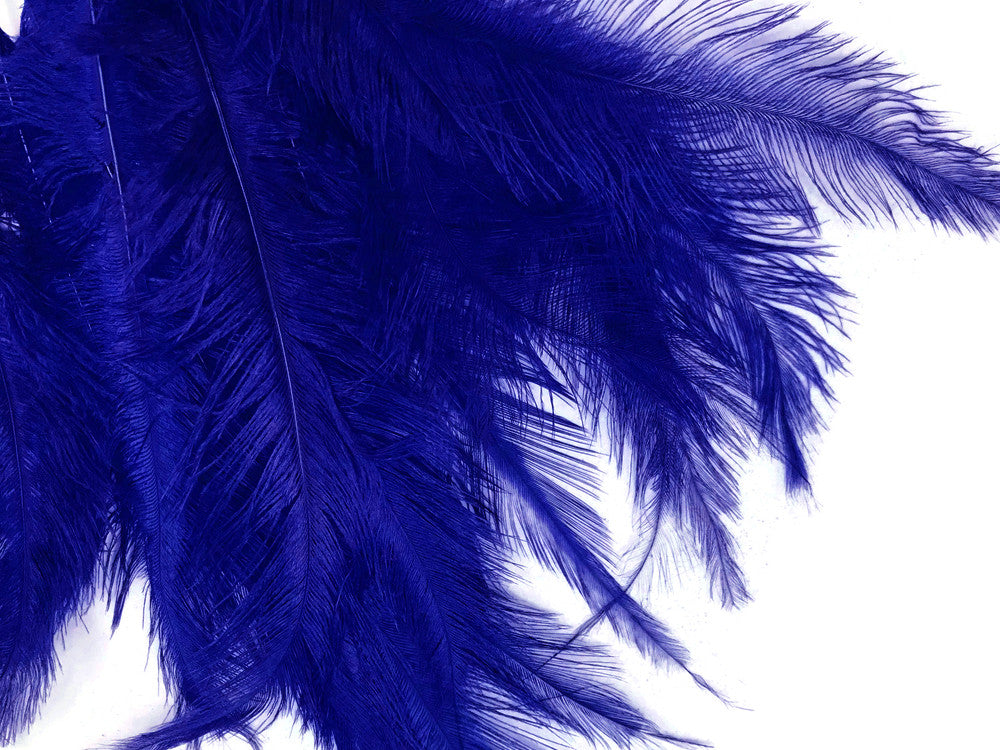 1/2 Lb - Royal Blue Mini Spads Ostrich Wholesale Chick Body Feathers (Bulk)