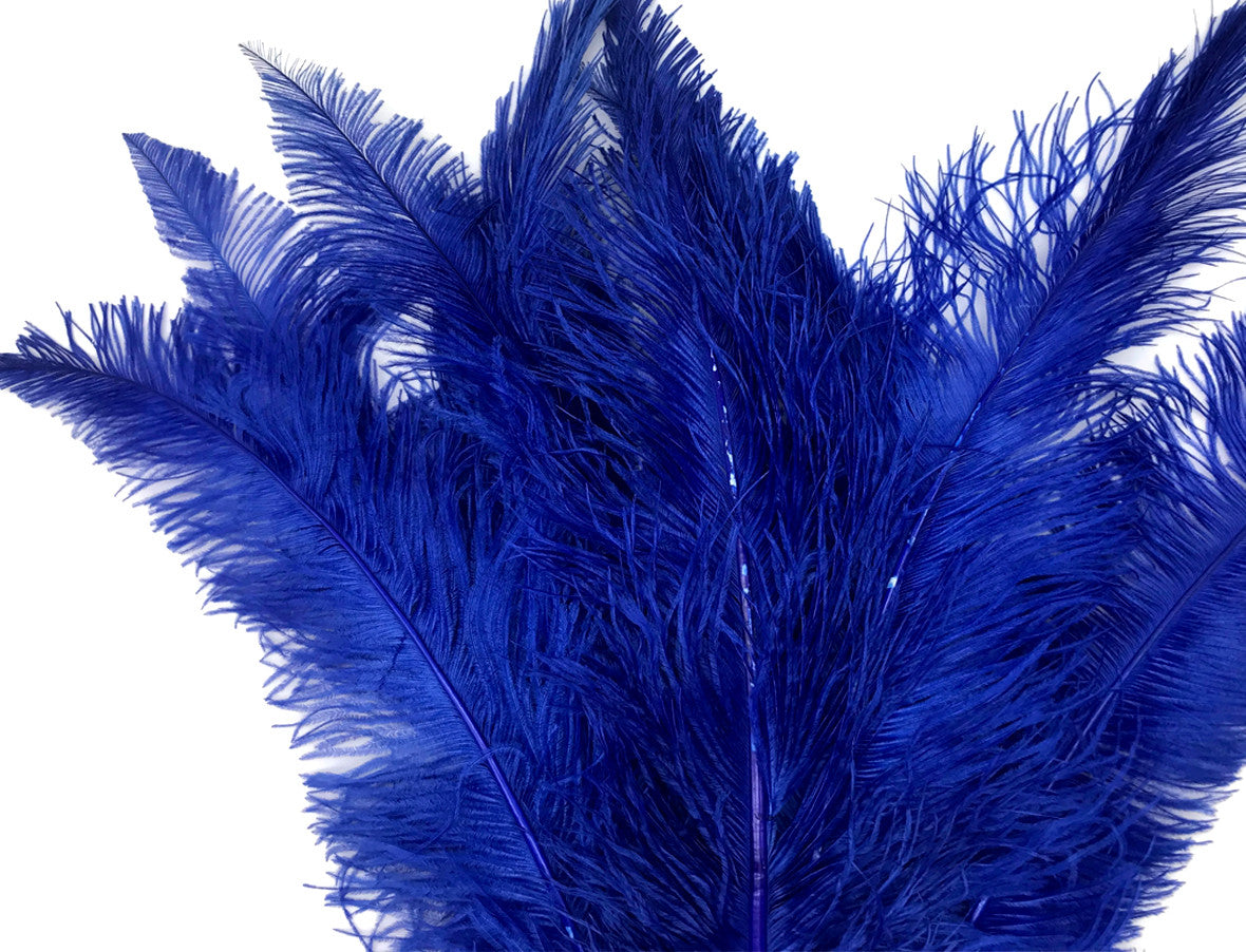 1/2 Lb - Royal Blue Large Ostrich Spads Wholesale Feathers 20-28" (Bulk)