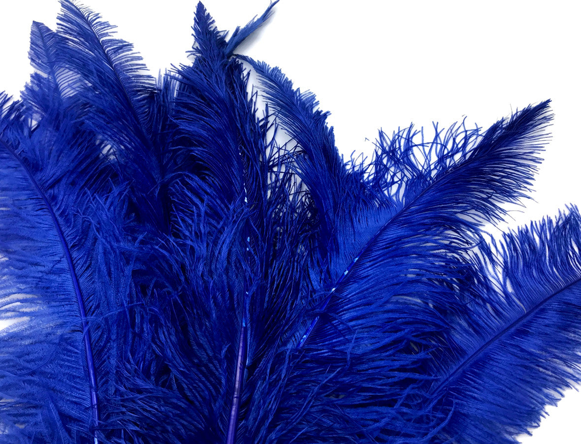 1/2 Lb - Royal Blue Large Ostrich Spads Wholesale Feathers 20-28" (Bulk)