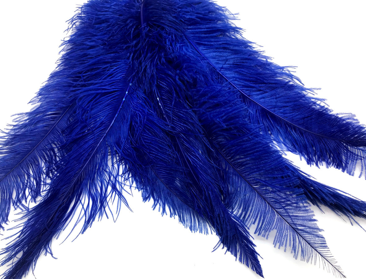 1/2 Lb - Royal Blue Large Ostrich Spads Wholesale Feathers 20-28" (Bulk)