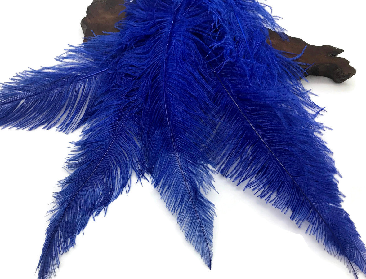 10 Pieces - 20-28" Royal Blue Ostrich Spads Large Feathers