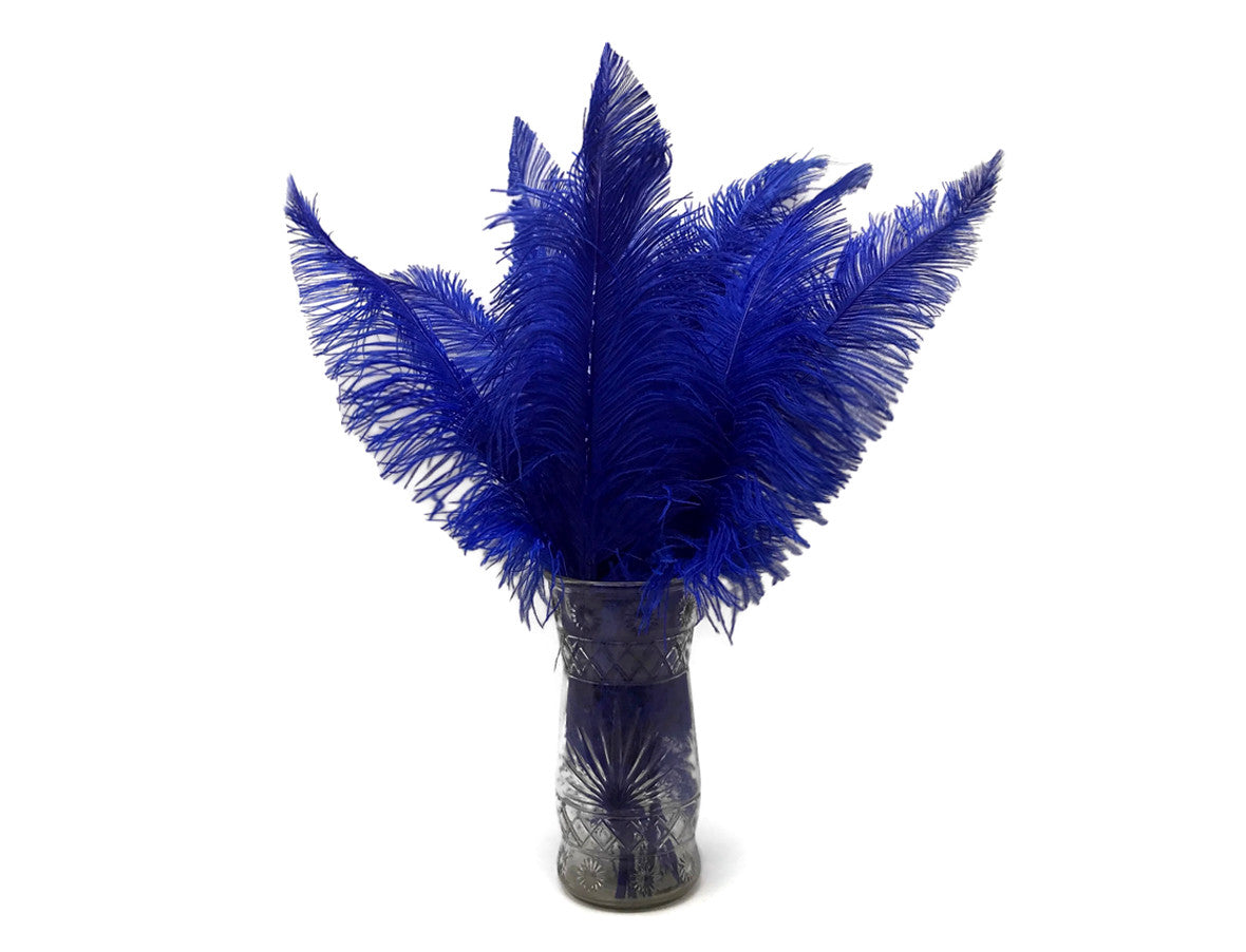 1/2 Lb - Royal Blue Large Ostrich Spads Wholesale Feathers 20-28" (Bulk)